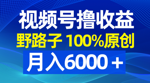 【副业8771期】视频号野路子撸收益，100%原创，条条爆款，月入6000＋-沃创网