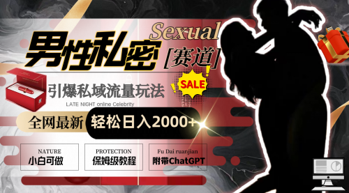 【副业8789期】全网最新男性私密赛道玩法，引爆私域流量，轻松日入2000+-沃创网
