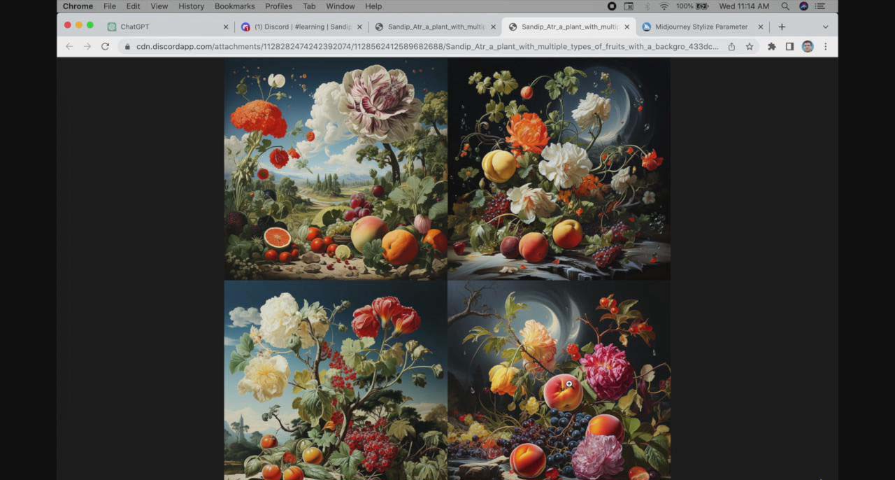 【副业8871期】ChatGPT4 和 MidJourney AI 绘画聊天革命性指南教程-33节视频课-中英字幕-沃创网