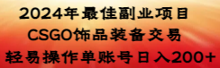 【副业8982期】2024年最佳副业项目 CSGO饰品装备交易 轻易操作单账号日入200+-沃创网