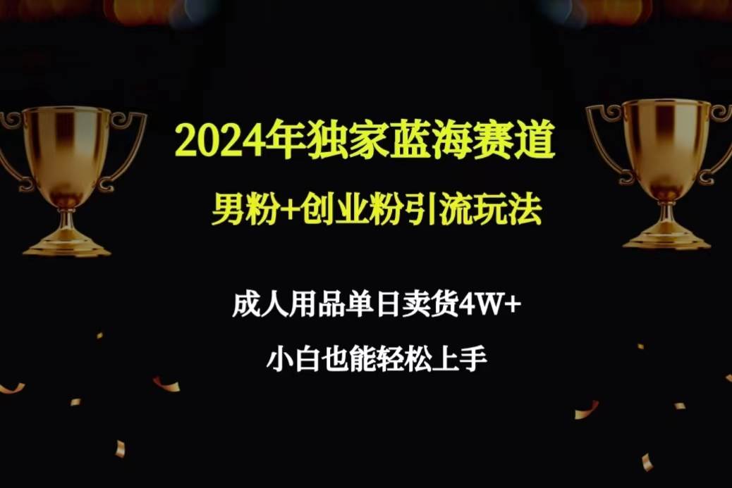 2024年独家蓝海赛道男粉+创业粉引流玩法，成人用品单日卖货4W+保姆教程-沃创网