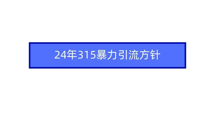 2024年315暴力引流方针-沃创网