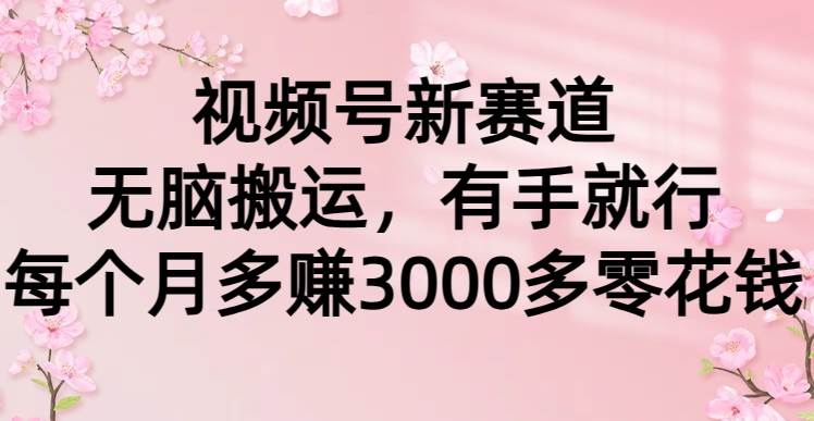 视频号新赛道，无脑搬运，有手就行，每个月多赚3000多零花钱-沃创网