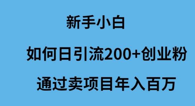 新手小白如何日引流200+创业粉通过卖项目年入百万-沃创网