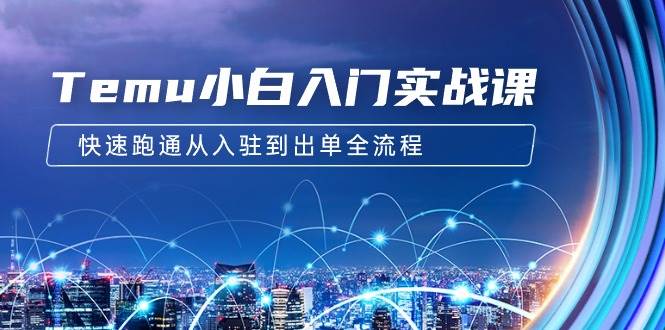 Temu小白入门实战课：跨境拼多多电商培训 快速跑通从入驻到出单全流程-12节-沃创网