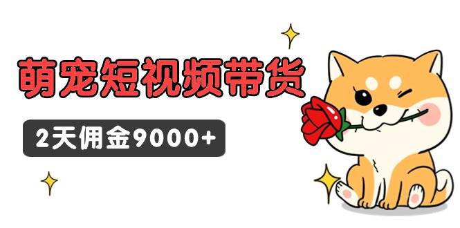 东哲日记·萌宠短视频带货，2天佣金9000+-沃创网
