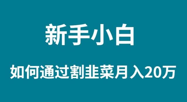 新手小白如何通过割韭菜月入 20W-沃创网
