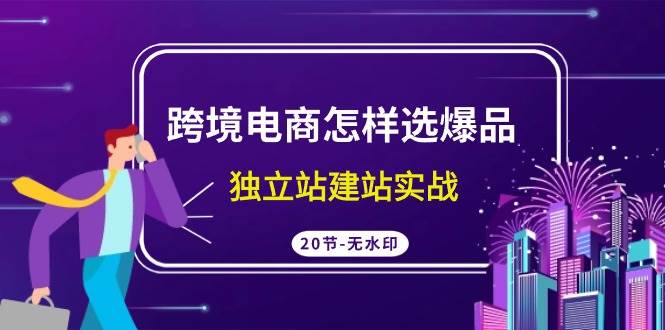 跨境电商怎样选爆品，独立站建站实战（20节高清无水印课）-沃创网