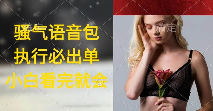 执行就出单，日入2000+，超火骚气语音包，小白看完课程就能马上实操-沃创网