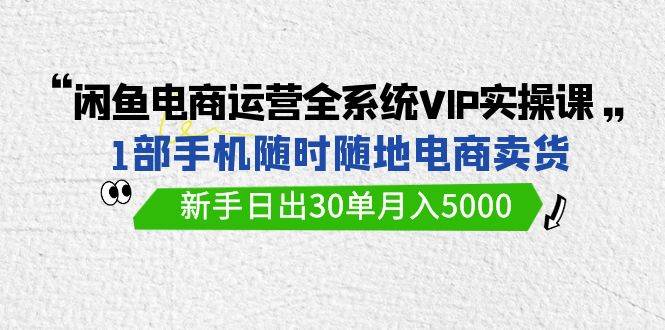 闲鱼电商运营全系统VIP实战课，1部手机随时随地卖货，新手日出30单月入5000-沃创网