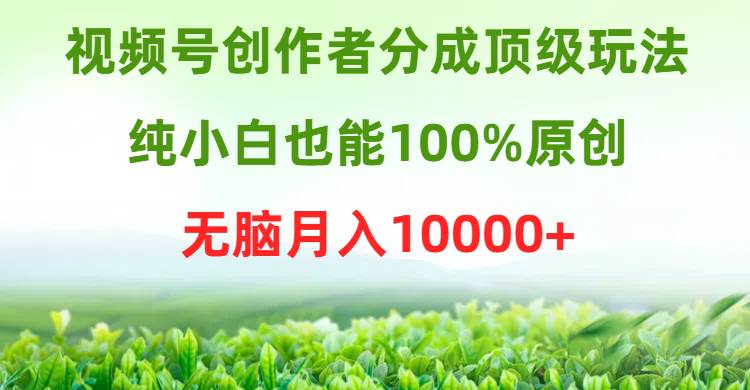 视频号创作者分成顶级玩法，纯小白也能100%原创，无脑月入10000+-沃创网