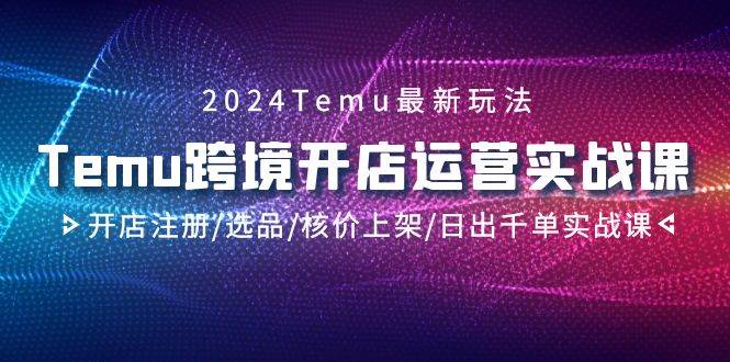2024Temu跨境开店运营实战课，开店注册/选品/核价上架/日出千单实战课-沃创网