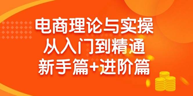 电商理论与实操从入门到精通 新手篇+进阶篇-沃创网