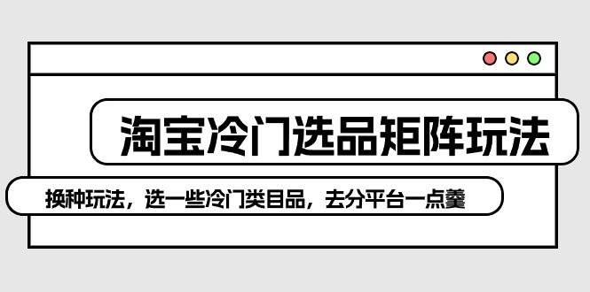 淘宝冷门选品矩阵玩法：换种玩法，选一些冷门类目品，去分平台一点羹-沃创网
