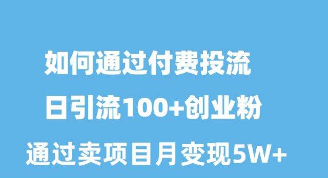 如何通过付费投流日引流100+创业粉月变现5W+-沃创网