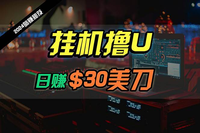 日赚30美刀，2024最新海外挂机撸U内部项目，全程无人值守，可批量放大-沃创网