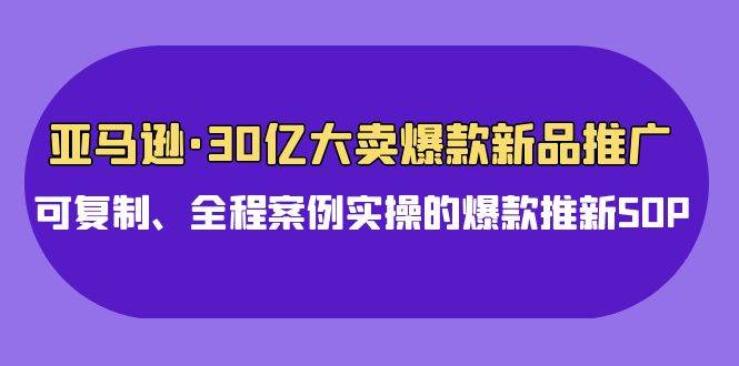 亚马逊30亿·大卖爆款新品推广，可复制、全程案例实操的爆款推新SOP-沃创网
