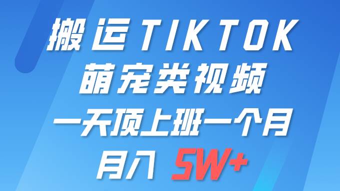 一键搬运TIKTOK萌宠类视频 一部手机即可操作 所有平台均可发布 轻松月入5W+-沃创网