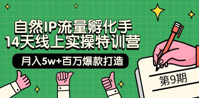 自然IP流量孵化手 14天线上实操特训营【第9期】月入5w+百万爆款打造 (74节)-沃创网