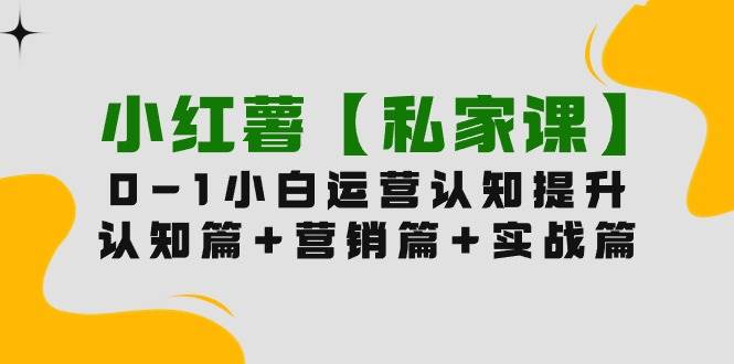 小红薯【私家课】0-1玩赚小红书内容营销，认知篇+营销篇+实战篇（11节课）-沃创网