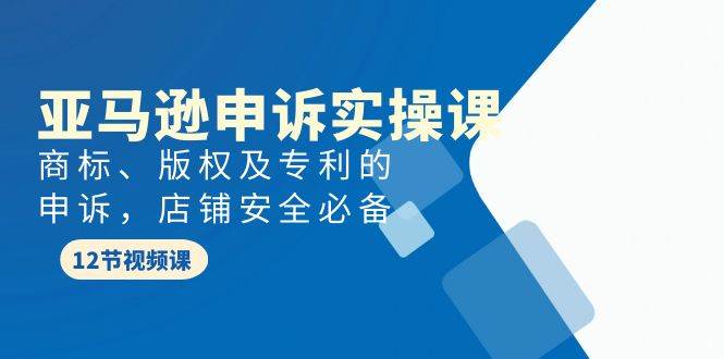 亚马逊-申诉实战课，商标、版权及专利的申诉，店铺安全必备-沃创网