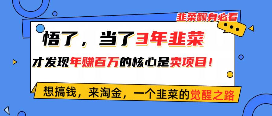 悟了，当了3年韭菜，才发现网赚圈年赚100万的核心是卖项目，含泪分享！-沃创网