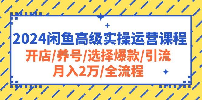 2024闲鱼高级实操运营课程：开店/养号/选择爆款/引流/月入2万/全流程-沃创网