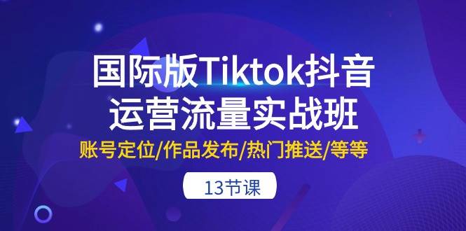 国际版Tiktok抖音运营流量实战班：账号定位/作品发布/热门推送/等等-13节-沃创网