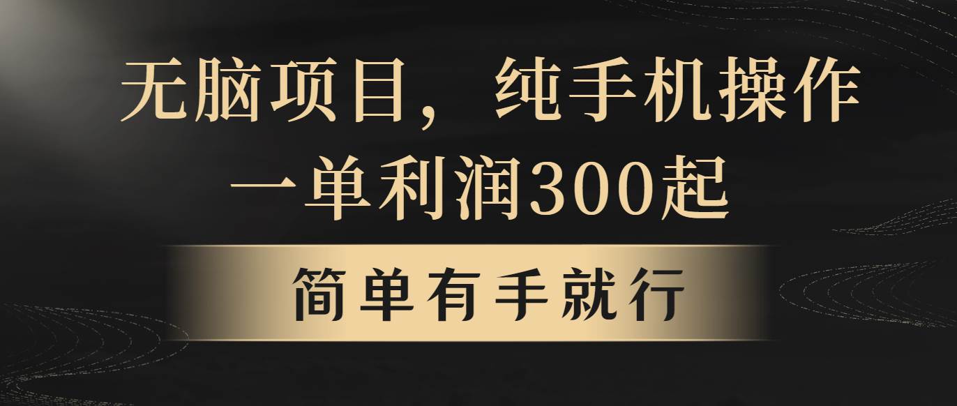 无脑项目，一单几百块，轻松月入5w+，看完就能直接操作-沃创网