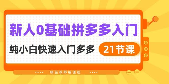 新人0基础拼多多入门，纯小白快速入门多多（21节课）-沃创网