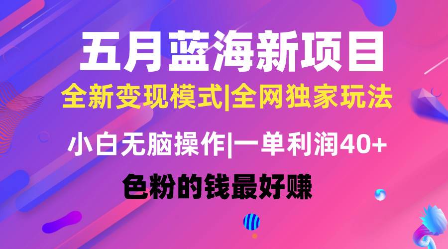 五月蓝海项目全新玩法，小白无脑操作，一天几分钟，矩阵操作，月入4万+-沃创网