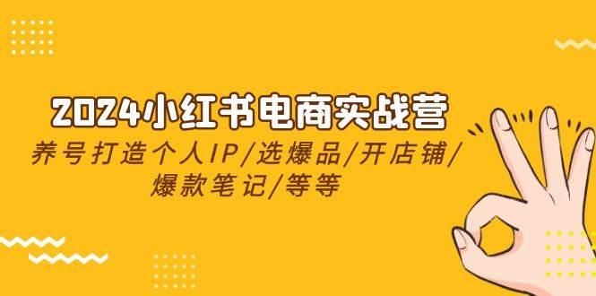 2024小红书电商实战营，养号打造IP/选爆品/开店铺/爆款笔记/等等（24节）-沃创网