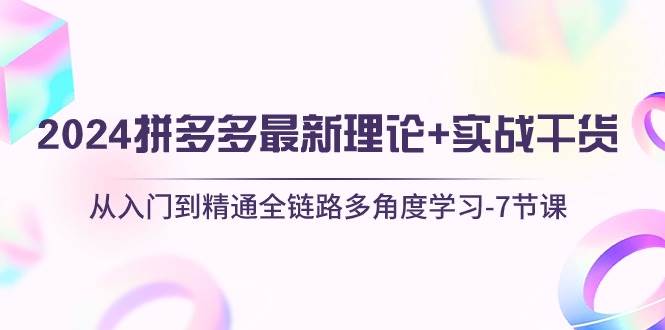 2024拼多多 最新理论+实战干货，从入门到精通全链路多角度学习-7节课-沃创网