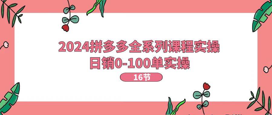 2024拼多多全系列课程实操，日销0-100单实操【16节课】-沃创网