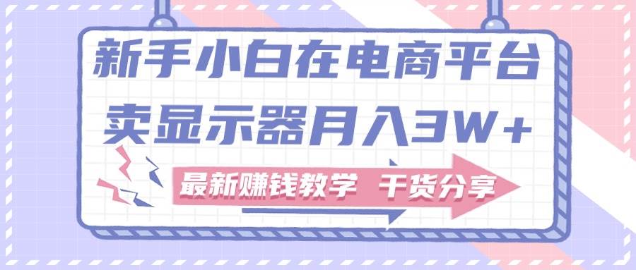 新手小白如何做到在电商平台卖显示器月入3W+，最新赚钱教学干货分享-沃创网