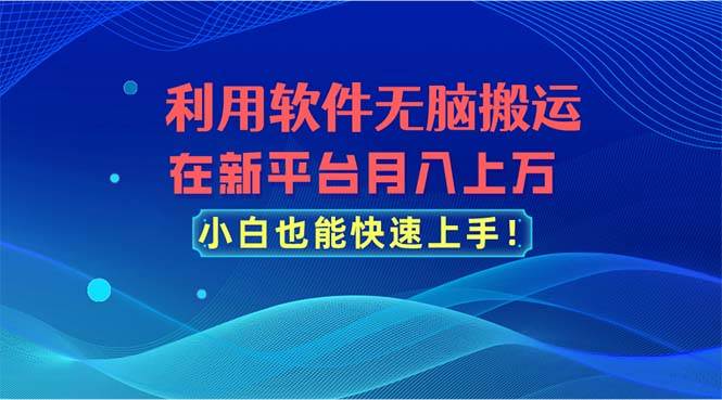 利用软件无脑搬运，在新平台月入上万，小白也能快速上手-沃创网