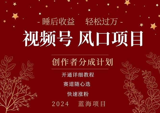 拥有睡眠收益的微信视频号大风口项目，轻松月入过万+，多赛道选择，可…-沃创网