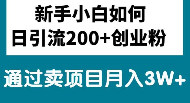 新手小白日引流200+创业粉,通过卖项目月入3W+-沃创网