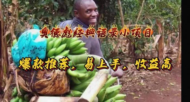 奥德彪经典语录小项目，爆款推荐，易上手，收益高-沃创网