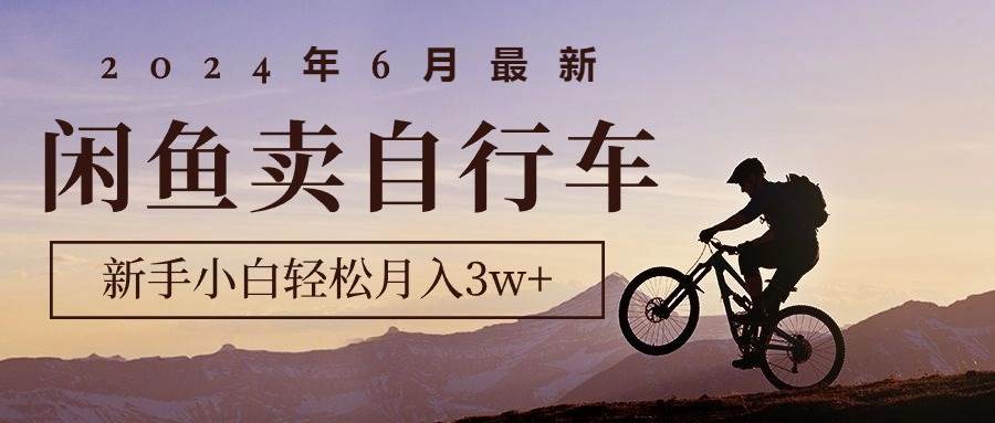 2024年6月最新闲鱼卖自行车，新手小白轻松月入3w+项目-沃创网