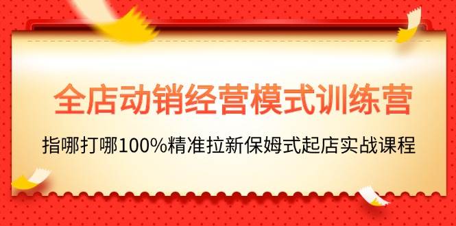 全店动销-经营模式训练营，指哪打哪100%精准拉新保姆式起店实战课程-沃创网