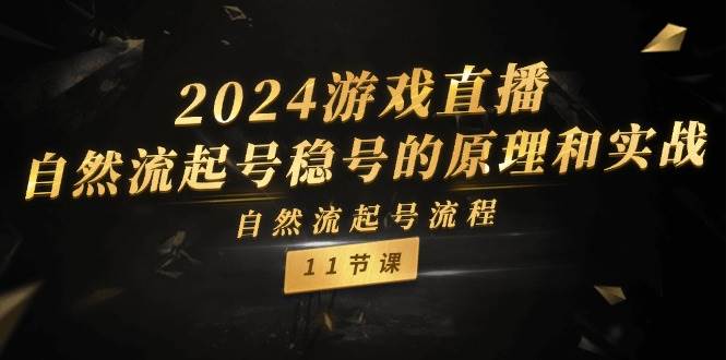 2024游戏直播-自然流起号稳号的原理和实战，自然流起号流程（11节）-沃创网