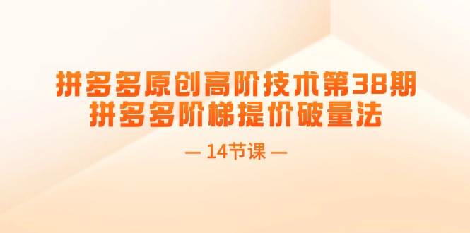 拼多多原创高阶技术第38期，拼多多阶梯提价破量法（14节课）-沃创网