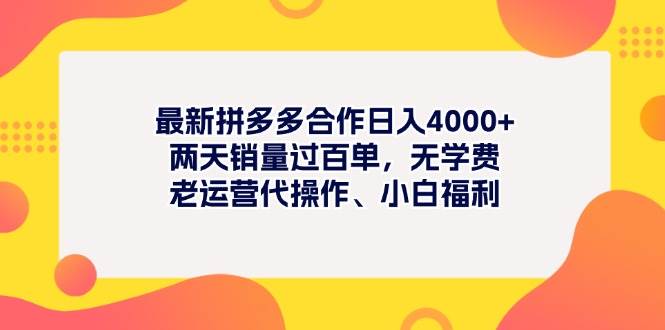 最新拼多多项目日入4000+两天销量过百单，无学费、老运营代操作、小白福利-沃创网