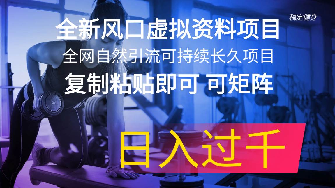 全新风口虚拟资料项目 全网自然引流可持续长久项目 复制粘贴即可可矩阵…-沃创网