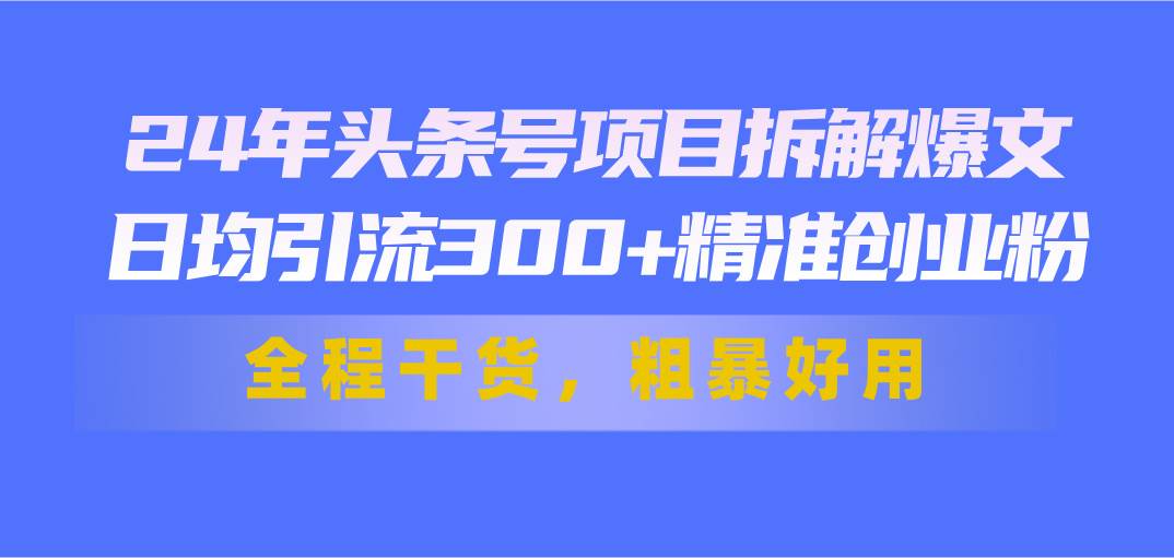 24年头条号项目拆解爆文，日均引流300+精准创业粉，全程干货，粗暴好用-沃创网