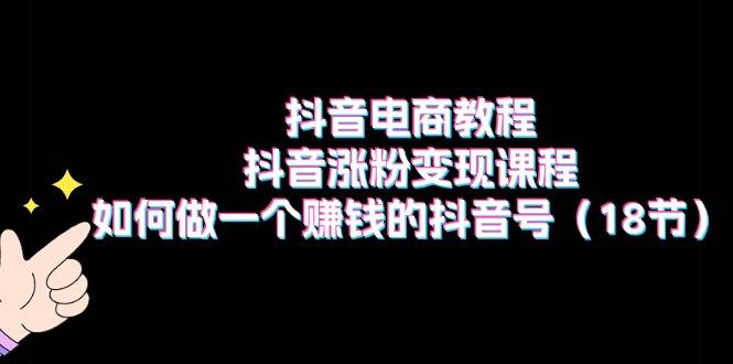 抖音电商教程：抖音涨粉变现课程：如何做一个赚钱的抖音号（18节）-沃创网