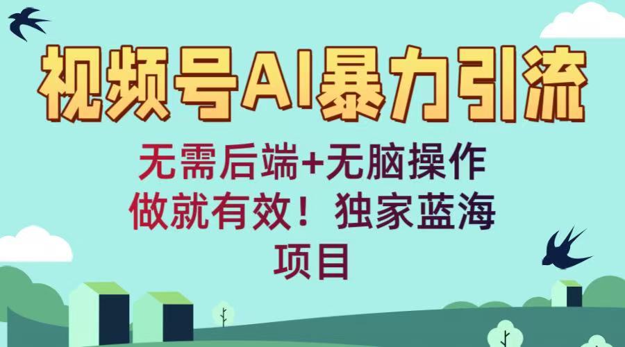 视频号AI暴力引流：无需后端+无脑操作，做就有效！独家蓝海项目-沃创网