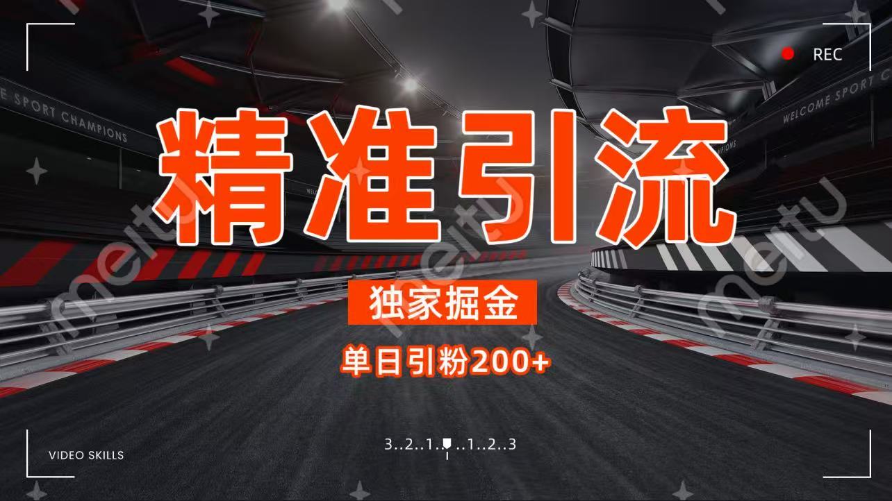 独家野路子精准引流 每日200+-沃创网