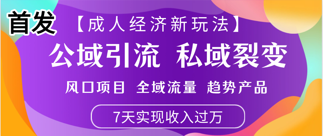 首发：【成人经济新玩法】市面独家玩法，风口项目、全域流量、趋势产品，7天实现月入过万-沃创网